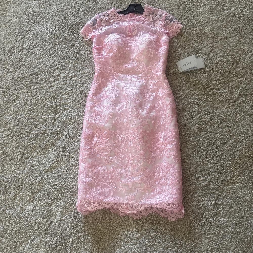 Pink lace over white silk imported dress